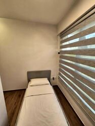 Blk 445A Clementi Crest (Clementi), HDB 4 Rooms #544883991